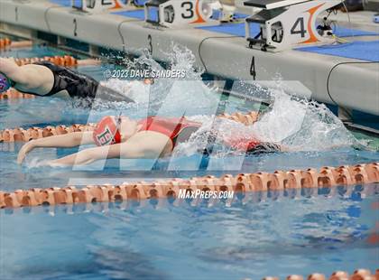 Thumbnail 2 in UIL 6A State Varsity Swim & Dive Finals photogallery.