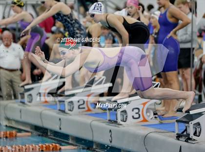 Thumbnail 2 in UIL 6A State Varsity Swim & Dive Finals photogallery.