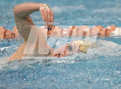 Thumbnail 2 in UIL 6A State Varsity Swim & Dive Finals photogallery.