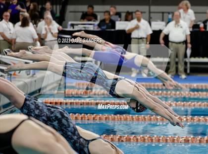 Thumbnail 2 in UIL 6A State Varsity Swim & Dive Finals photogallery.