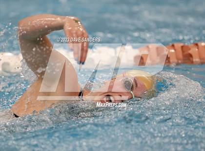 Thumbnail 1 in UIL 6A State Varsity Swim & Dive Finals photogallery.