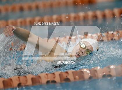 Thumbnail 1 in UIL 6A State Varsity Swim & Dive Finals photogallery.