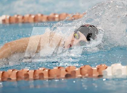 Thumbnail 3 in UIL 6A State Varsity Swim & Dive Finals photogallery.