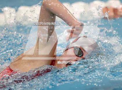 Thumbnail 3 in UIL 6A State Varsity Swim & Dive Finals photogallery.