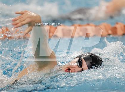 Thumbnail 1 in UIL 6A State Varsity Swim & Dive Finals photogallery.