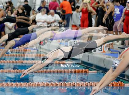 Thumbnail 1 in UIL 6A State Varsity Swim & Dive Finals photogallery.