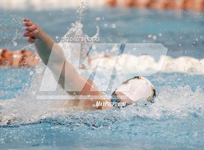 Thumbnail 2 in UIL 6A State Varsity Swim & Dive Finals photogallery.
