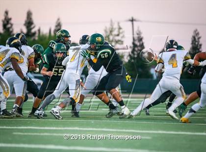 Thumbnail 3 in Wilcox @ Monterey Trail photogallery.