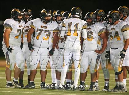 Thumbnail 2 in Wilcox @ Monterey Trail photogallery.