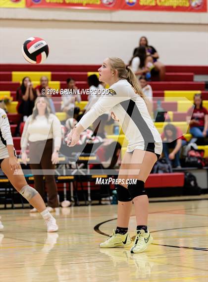 Thumbnail 1 in Widefield @ Coronado photogallery.