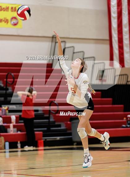 Thumbnail 1 in Widefield @ Coronado photogallery.