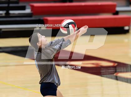 Thumbnail 1 in Widefield @ Coronado photogallery.