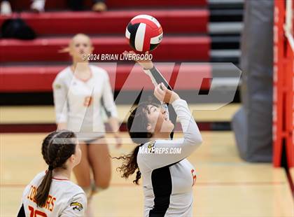 Thumbnail 1 in Widefield @ Coronado photogallery.