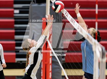 Thumbnail 3 in Widefield @ Coronado photogallery.