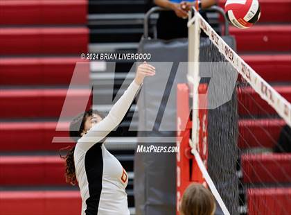 Thumbnail 1 in Widefield @ Coronado photogallery.