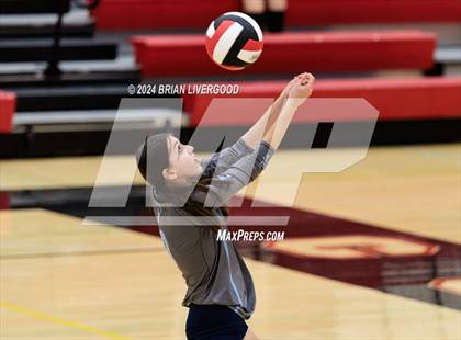 Thumbnail 2 in Widefield @ Coronado photogallery.