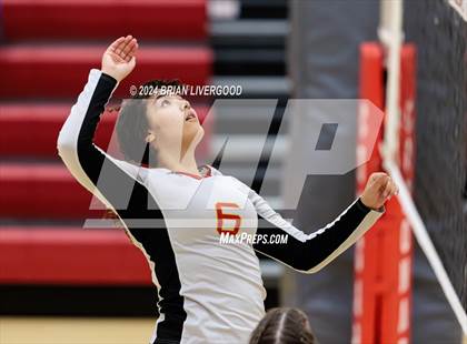 Thumbnail 1 in Widefield @ Coronado photogallery.