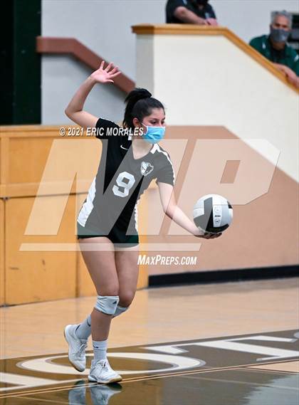Thumbnail 3 in Reedley @ Hoover photogallery.