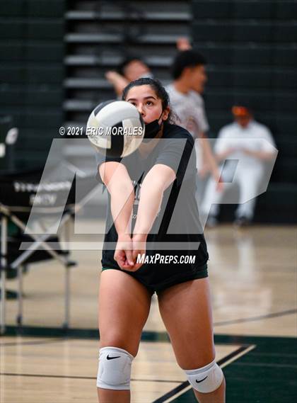 Thumbnail 3 in Reedley @ Hoover photogallery.