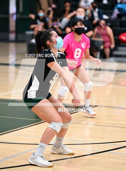 Thumbnail 3 in Reedley @ Hoover photogallery.