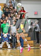 Photo from the gallery "Desert Vista @ Sunnyslope"