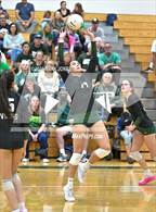 Photo from the gallery "Desert Vista @ Sunnyslope"