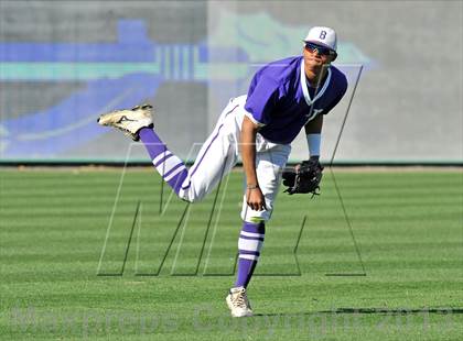 Thumbnail 1 in Bonham vs Van (Dr Pepper Ballpark) photogallery.