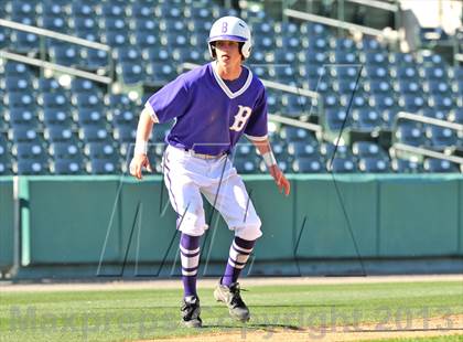 Thumbnail 1 in Bonham vs Van (Dr Pepper Ballpark) photogallery.