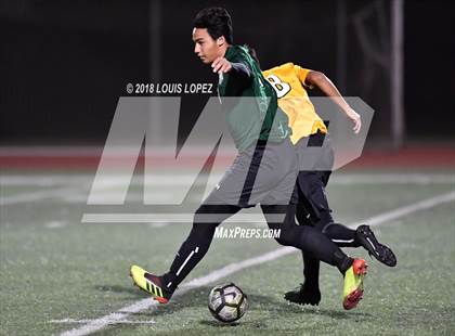 Thumbnail 3 in Bonita @ Arlington photogallery.