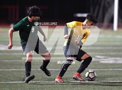 Thumbnail 1 in Bonita @ Arlington photogallery.