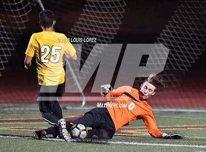 Thumbnail 1 in Bonita @ Arlington photogallery.