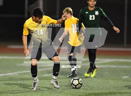 Thumbnail 3 in Bonita @ Arlington photogallery.
