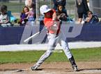 Photo from the gallery "Poteau @ Vian"