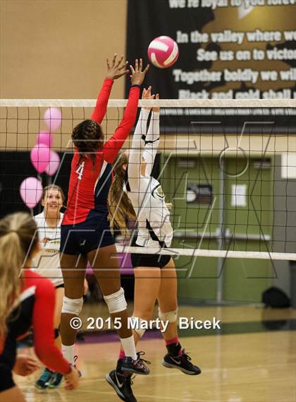 Thumbnail 2 in Beyer @ Enochs photogallery.