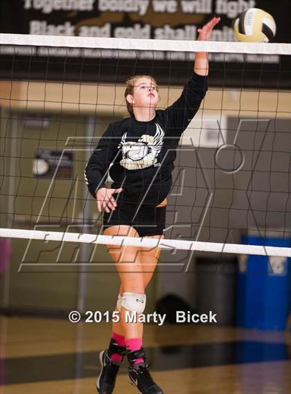 Thumbnail 1 in Beyer @ Enochs photogallery.