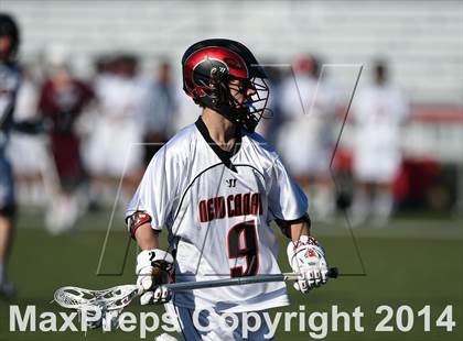 Thumbnail 3 in Ridgewood @ New Canaan photogallery.