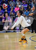 Photo from the gallery "Thrall vs Weimar (UIL 2A Region IV Regional Quarterfinal)"