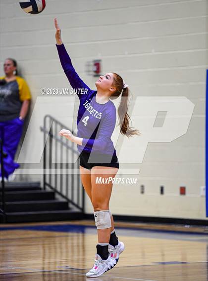 Thumbnail 1 in Thrall vs Weimar (UIL 2A Region IV Regional Quarterfinal) photogallery.
