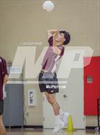 Photo from the gallery "Arlington @ Hillcrest"