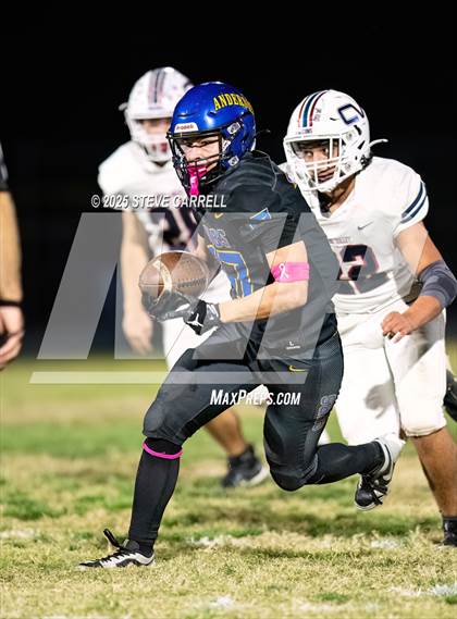 Thumbnail 1 in Central Valley @ Anderson photogallery.