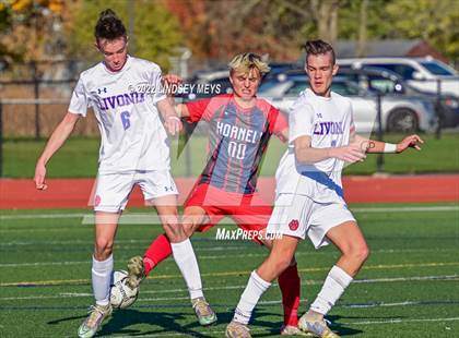 Thumbnail 1 in Livonia vs Hornell (NYSPHSAA Section V Class B1 Final) photogallery.