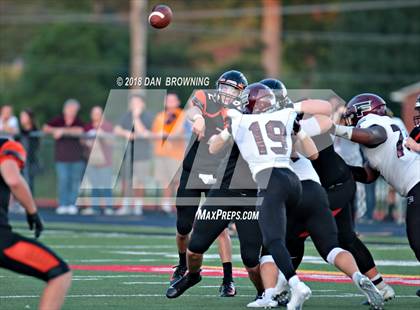 Thumbnail 3 in Fulton @ Powell photogallery.