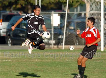 Thumbnail 3 in Florin @ Jesuit photogallery.