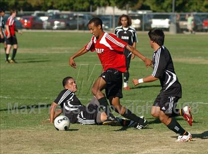 Thumbnail 3 in Florin @ Jesuit photogallery.