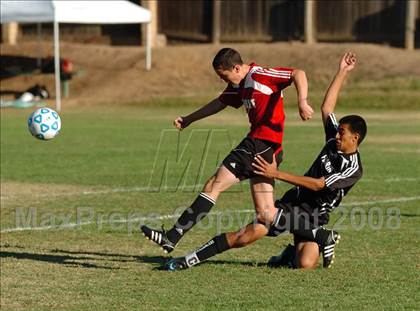 Thumbnail 3 in Florin @ Jesuit photogallery.