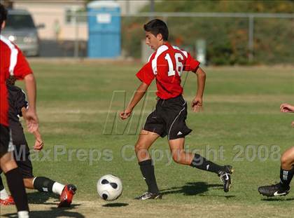 Thumbnail 3 in Florin @ Jesuit photogallery.