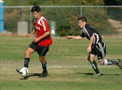 Thumbnail 1 in Florin @ Jesuit photogallery.