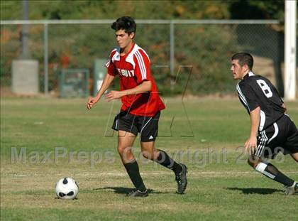 Thumbnail 2 in Florin @ Jesuit photogallery.