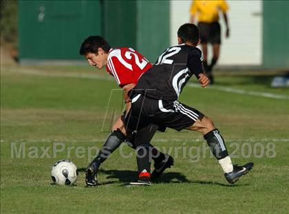 Thumbnail 1 in Florin @ Jesuit photogallery.