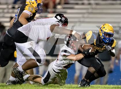 Thumbnail 3 in Pasco @ Auburndale photogallery.